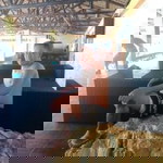 Atoyco Martinez profile icon