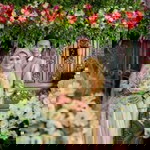 Lily Widiyanti profile icon