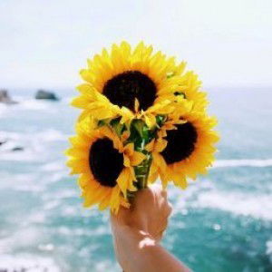 Nursyafieka Zakuan profile icon