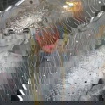 Santi Marsilviani profile icon