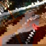 ด.ญ. เท็ดดี้ profile icon