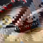 Eros Mame profile icon