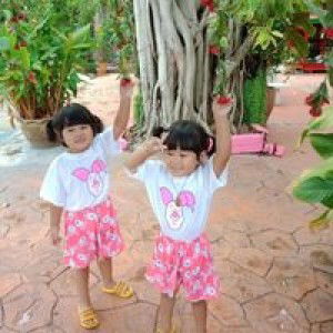 ประทุมพร หวังปรุงกลาง profile icon