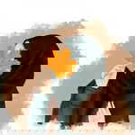 Anggita Melani N profile icon