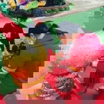 Piyamas Khodthong profile icon