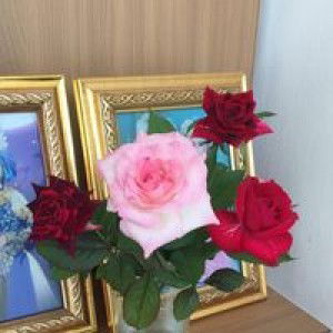 Iga Berlian profile icon