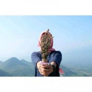 Novy Dianita profile icon