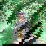 Nasneen Samu'yama profile icon