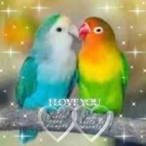 Muhammad Arifin profile icon