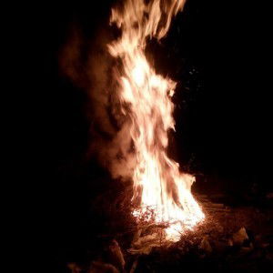 anak ngawur profile icon