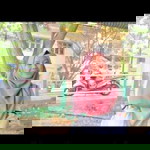 Alfira Yusup profile icon