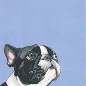 Angela Khoo profile icon