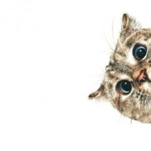 Setyarti Oksela Budi profile icon