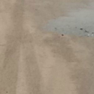 grifyn door profile icon