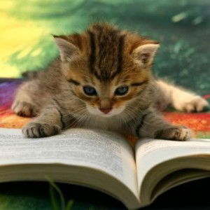 Nur Jannah profile icon