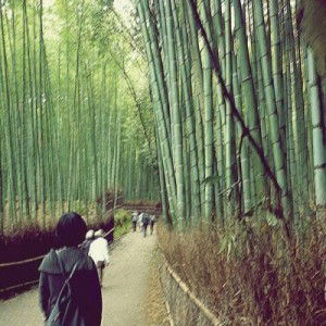 saynum Put profile icon