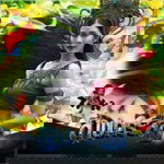 สุนิสา จับไวดี profile icon