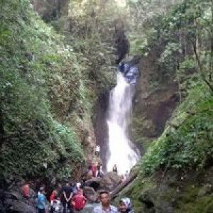 Celok Ly profile icon