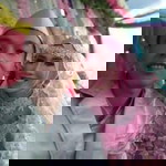 Melinda Oktaviana profile icon