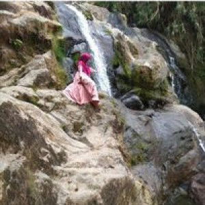 Chelo Mitul profile icon