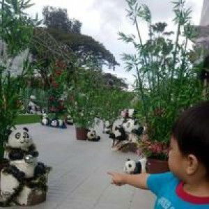 Regina Nelson Dol profile icon