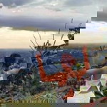 Anjz Flores profile icon