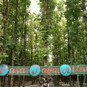 Poejhie Theprincessiistarhoolic profile icon