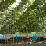 Poejhie Theprincessiistarhoolic profile icon