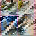 Kaiting Tan profile icon