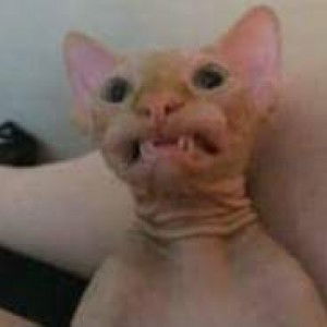 Ian John Agustin profile icon