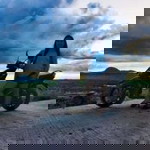 Rosemarie Mercado Domingo profile icon