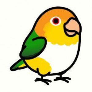 Sarah Chin profile icon