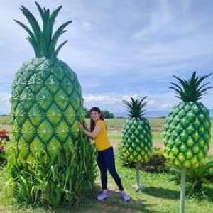 Es Ter Ia profile icon