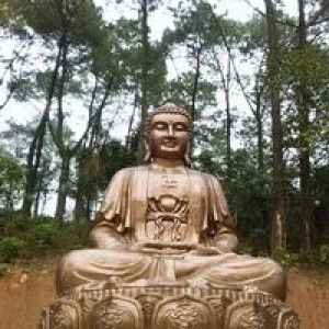 Tia Nắng profile icon