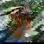 PLoy PLoy profile icon