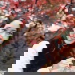 Patsaporn Khanoon Thepsuwan profile icon