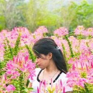 Nanda Taweeprapanit profile icon