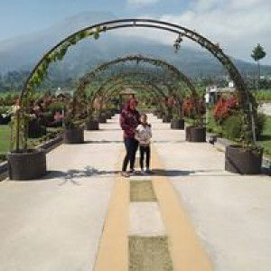 Kebun Rastbery profile icon