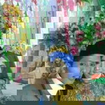 Heri Setiawan profile icon