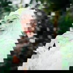 Waysiya Somchantha profile icon