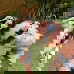 ริซ profile icon