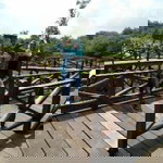 Tri Eka Saputri profile icon