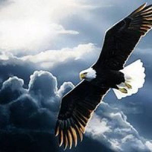 Heppi Waruwu profile icon