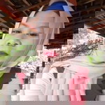 Dwi Cahya profile icon