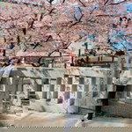 Coolya Thanatchaya profile icon