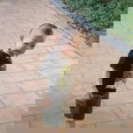 Boy Trần profile icon