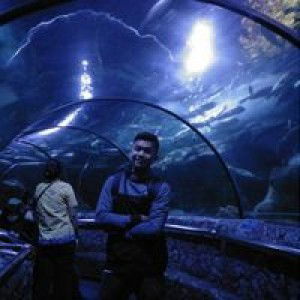 Ari Cahyo profile icon