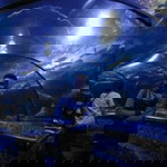 Ari Cahyo profile icon