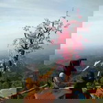 titik ermawati profile icon