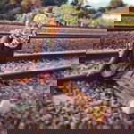 Vina Vivint profile icon